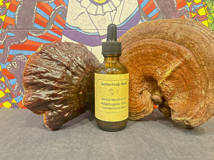 Reishi Elixir